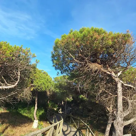 בית אירוח Casa Xeneize Punta Candor קדיז