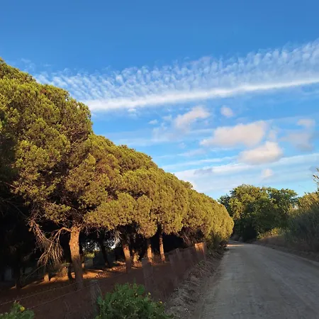 Casa Xeneize Punta Candor קדיז