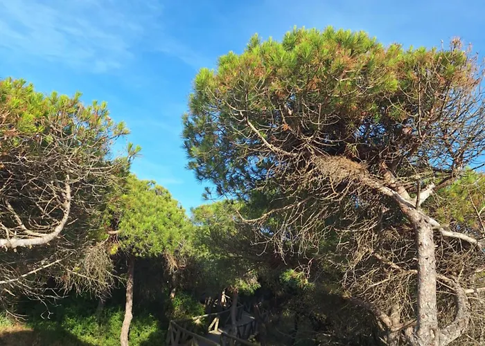 Homestay szállás Casa Xeneize Punta Candor Cádiz