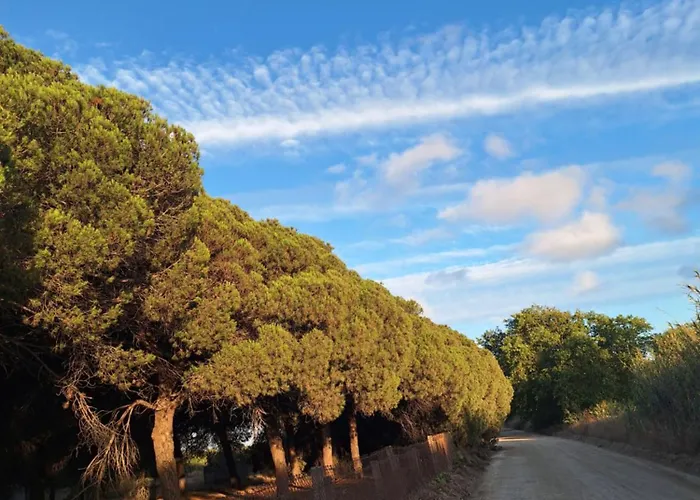 Casa Xeneize Punta Candor Cádiz